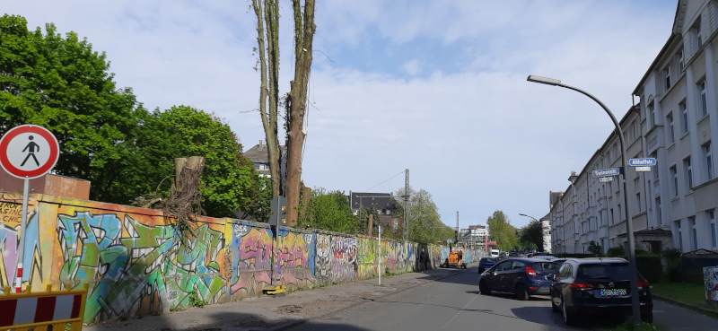 Ich bin erschüttert über diese Ansicht.