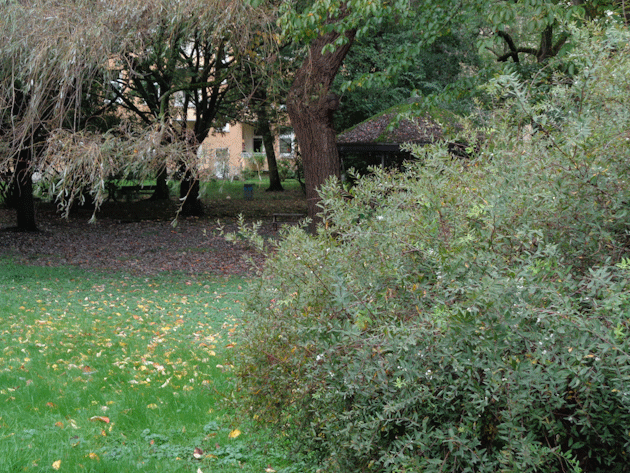 Spaziergang gefällig?