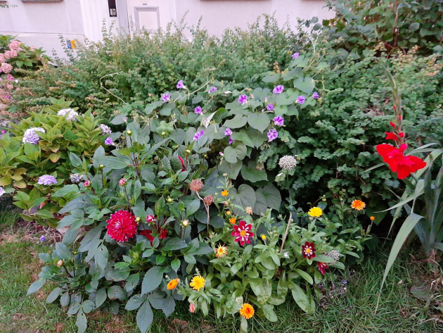 Unsere schönen Vorgärten